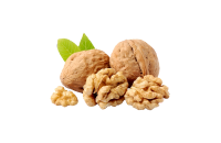 Walnut